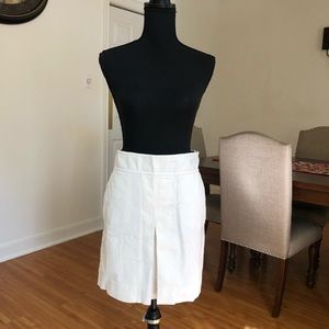 Ann Taylor Loft Skirt size 6